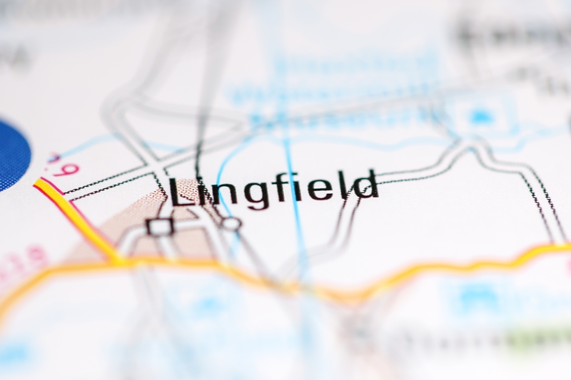 Waste clearance in Lingfield