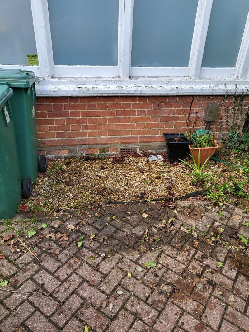 After: Front garden clearance, Purley