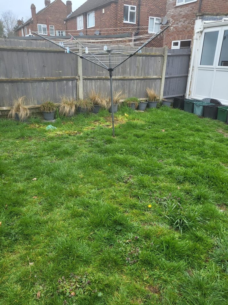 After: Back garden clearance