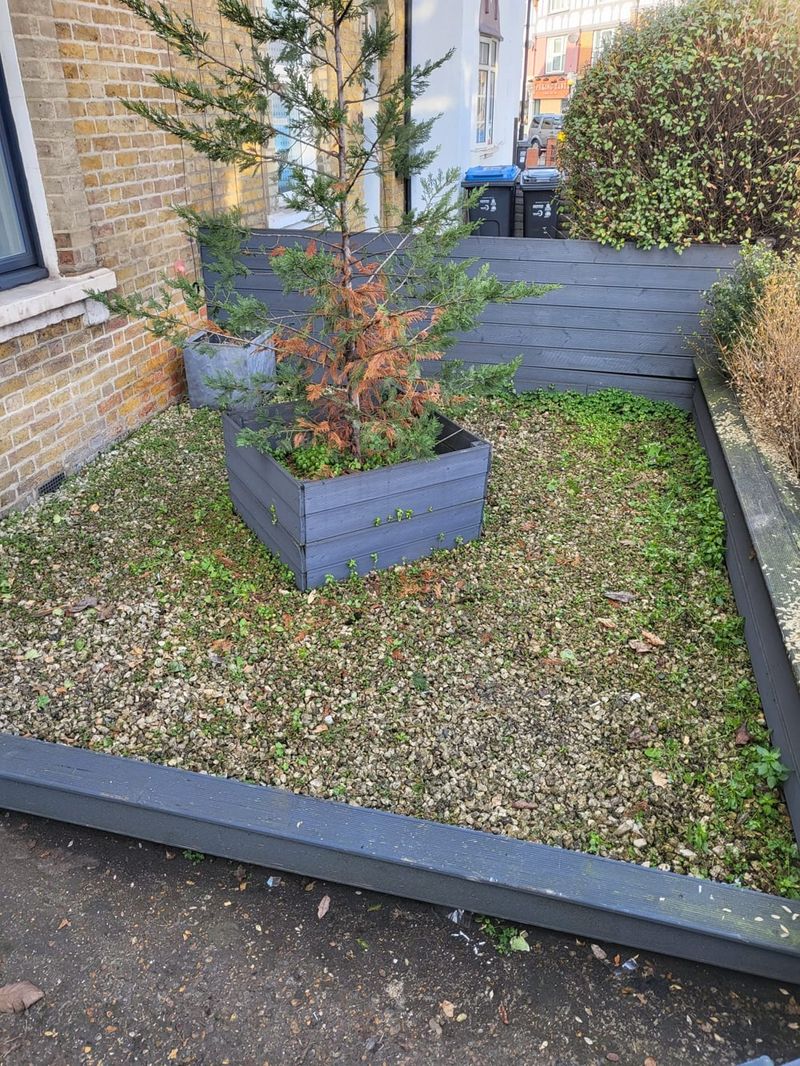 After: Front garden clearance